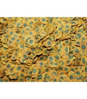 Tetra Pro Algae Crısp 10Lt