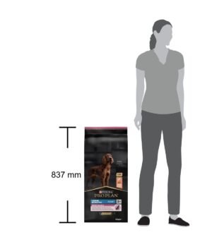 Proplan Büyük Irk Somonlu Yetişkin Köpek Maması 14Kg