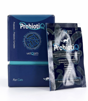 vetQom Kedi ProbiotiQ – Probiyotik + Prebiyotik Kompleks – 10 saşe